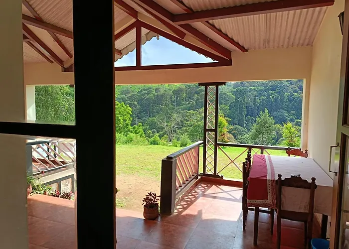 Jungle View