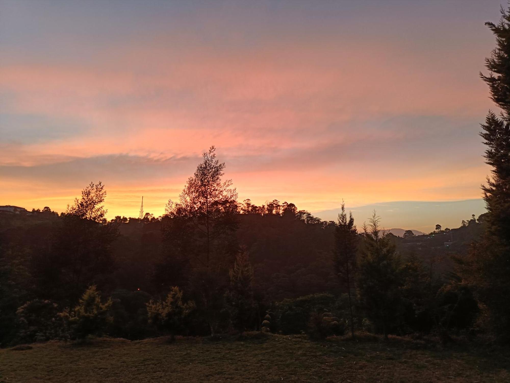 Homestay Jungle View *