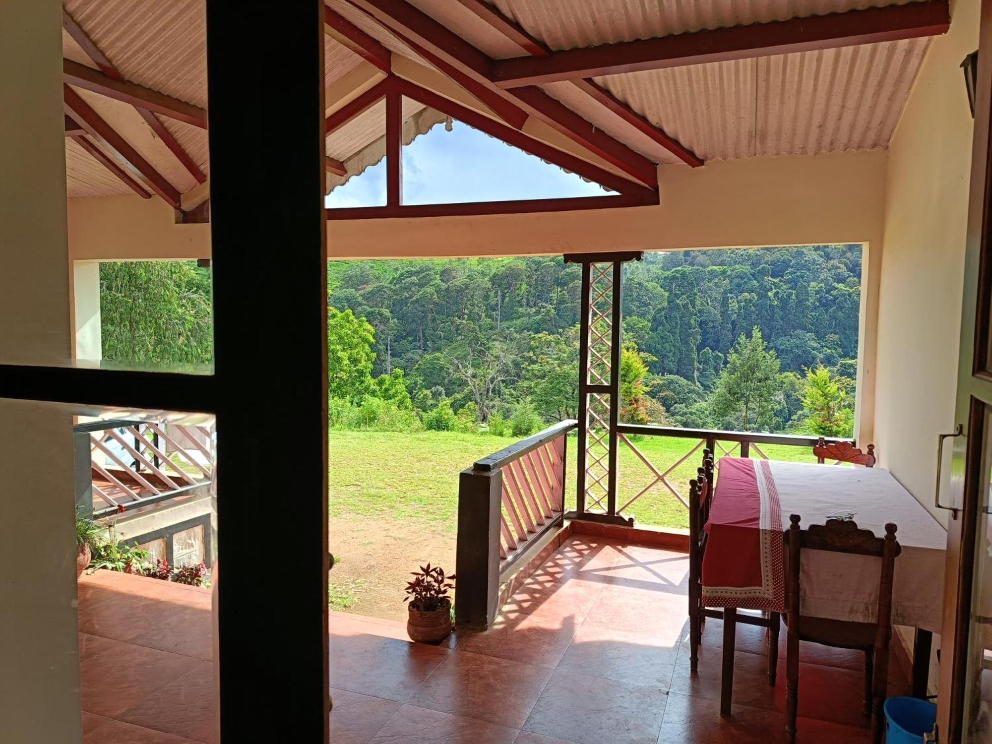 Jungle View Homestay *