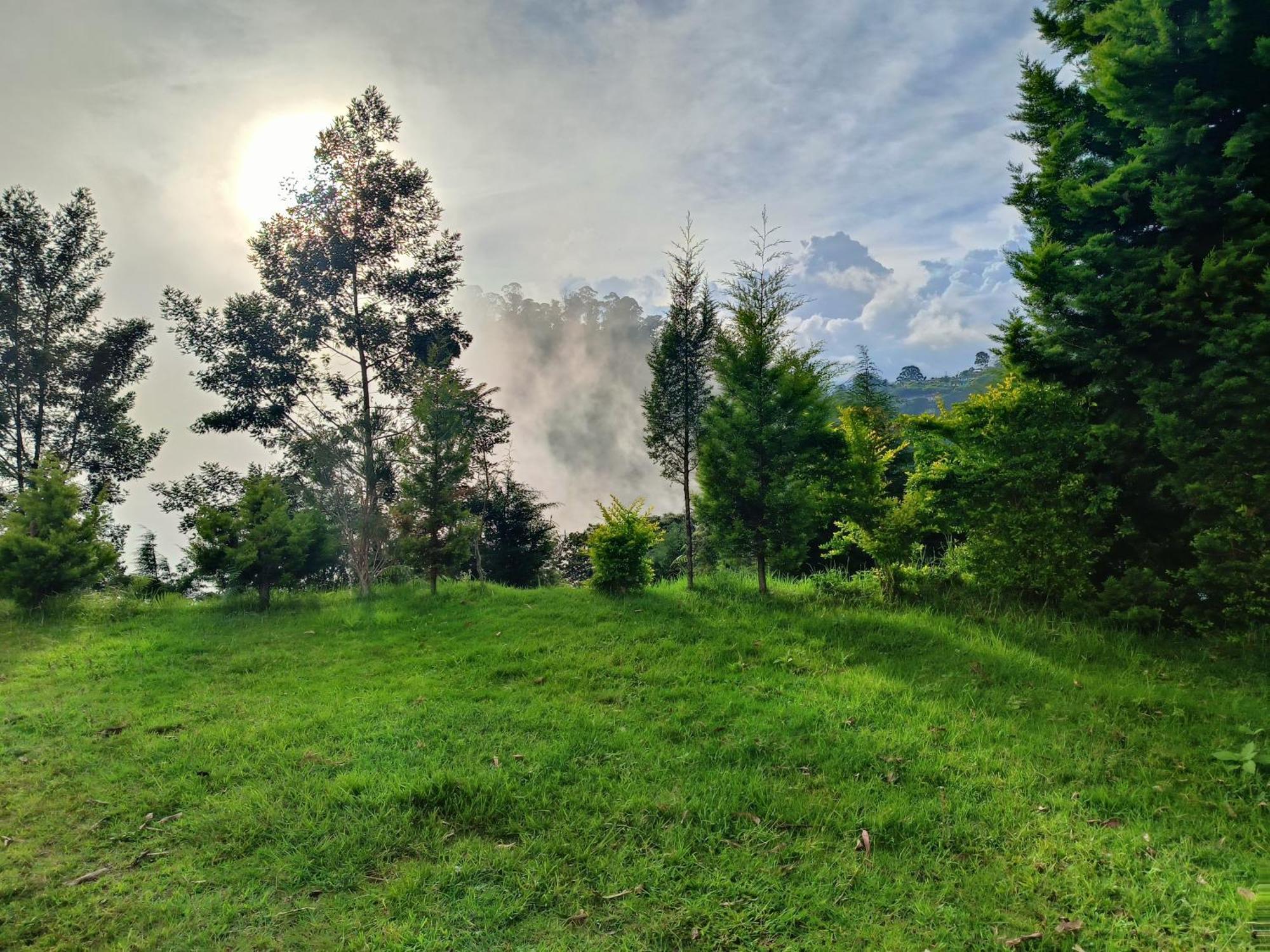 Jungle View Homestay *